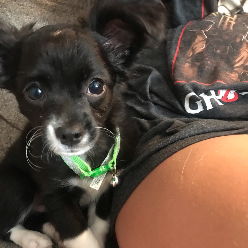 Meet your Posher, Angela